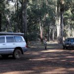 Toombullup State Forest