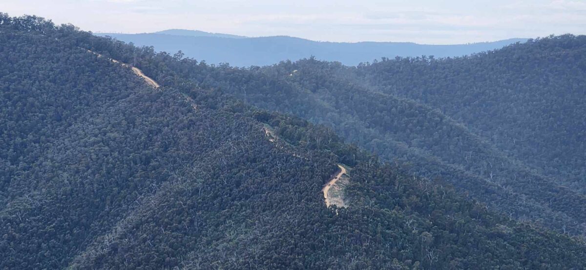 May be an image of mountain and fog