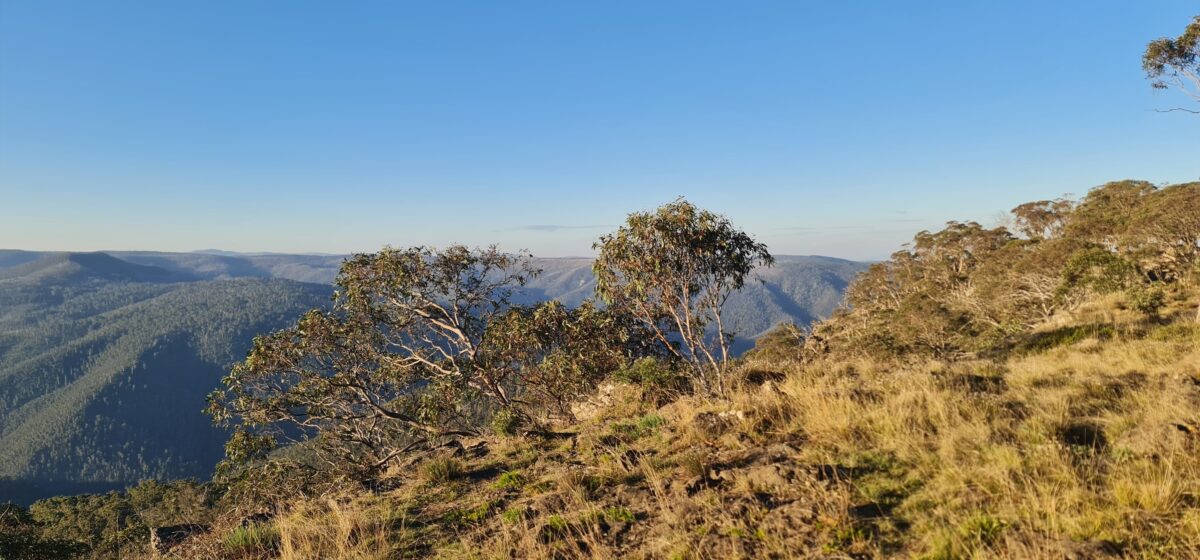 May be an image of mountain